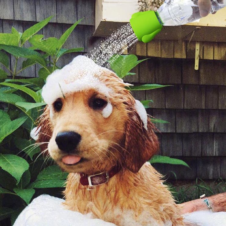 ペット用シャワーヘッド ペットボトル用ジョウロ 犬 | PlusNao | 詳細画像3 