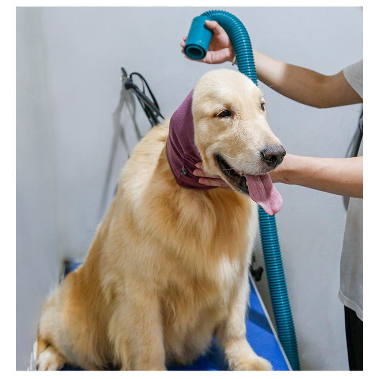 ペット用マフラー ペット用品 犬用 | PlusNao | 詳細画像2 