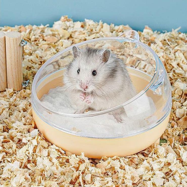 ハムスタートイレ ハムスターハウス 小動物用 | PlusNao | 詳細画像5 