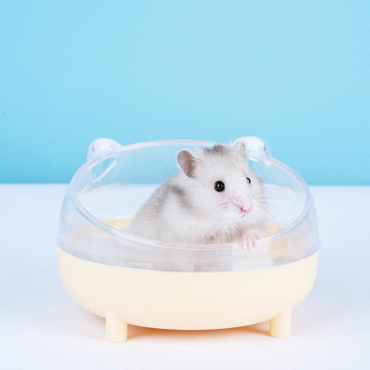 ハムスタートイレ ハムスターハウス 小動物用 | PlusNao | 詳細画像8 