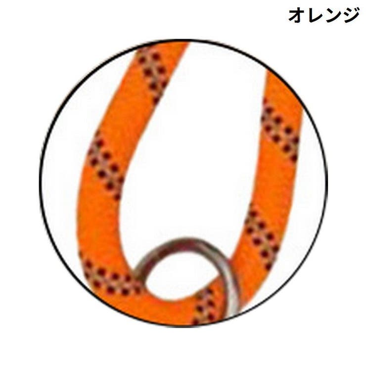 リード リーシュ 犬用 | PlusNao | 詳細画像16 