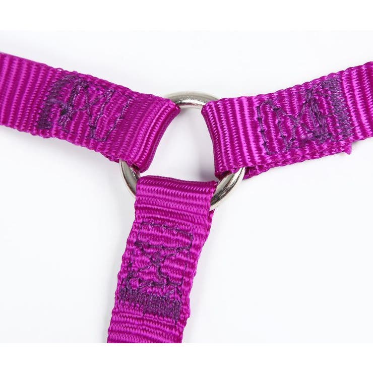 ハーネス リード セット | PlusNao | 詳細画像17 