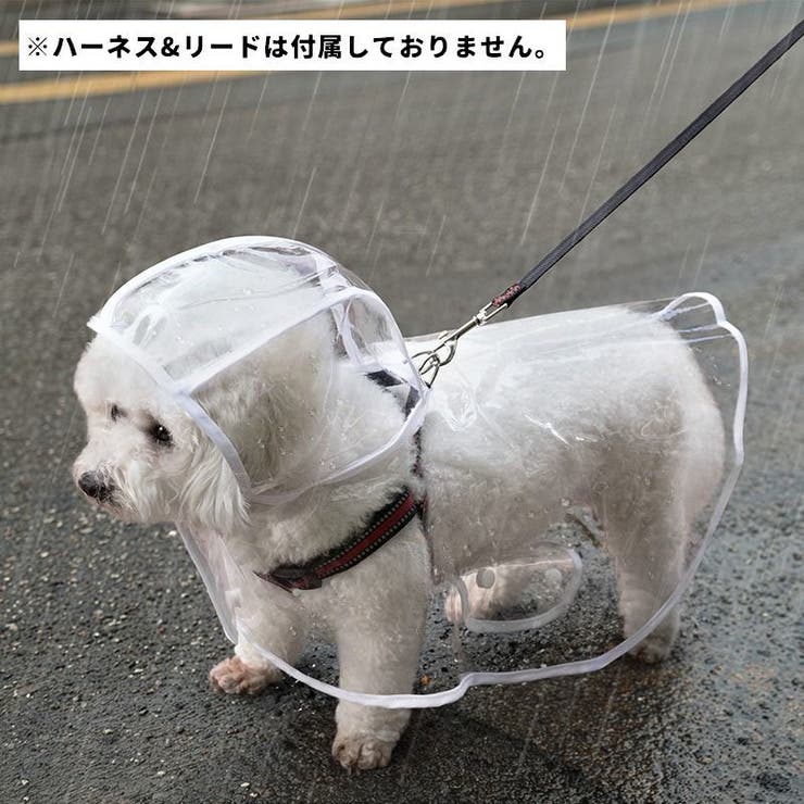 ペット用レインコート レインコート ペットグッズ | PlusNao | 詳細画像3 