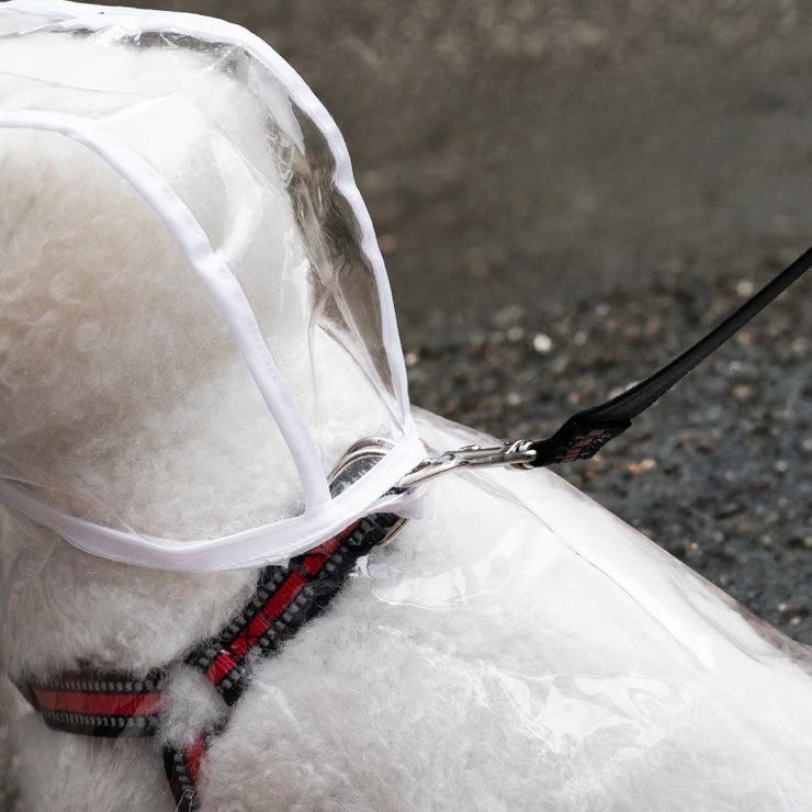 ペット用レインコート レインコート ペットグッズ | PlusNao | 詳細画像4 