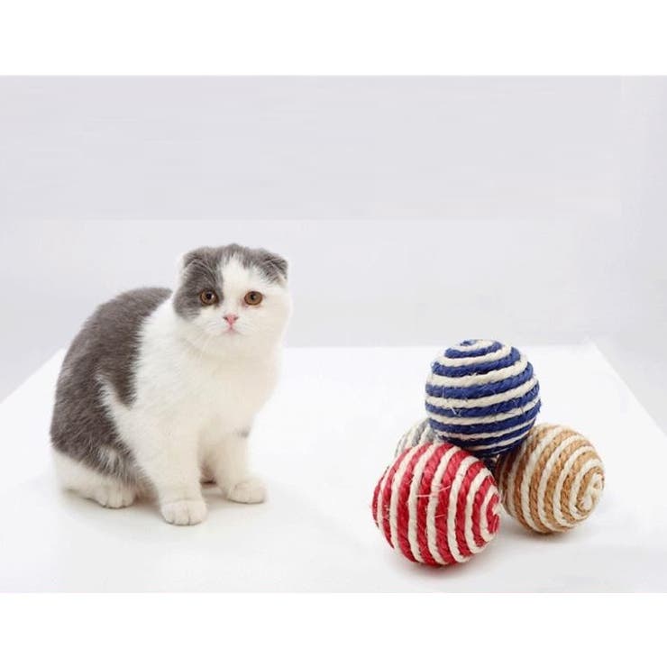 猫用おもちゃ 4個セット ペット用おもちゃ | PlusNao | 詳細画像2 