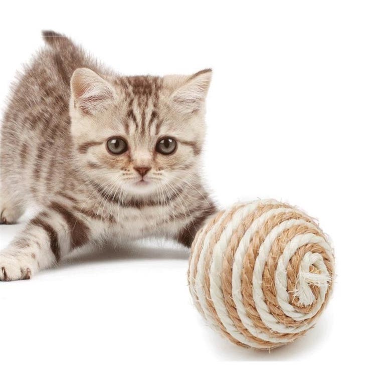 猫用おもちゃ 4個セット ペット用おもちゃ | PlusNao | 詳細画像3 