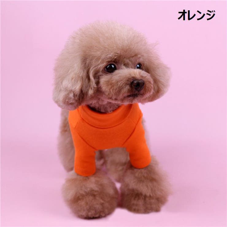 ドッグウェア ペットウェア カットソー | PlusNao | 詳細画像12 