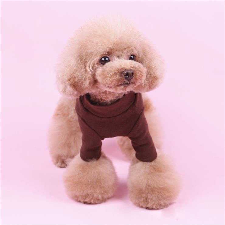 ドッグウェア ペットウェア カットソー | PlusNao | 詳細画像2 