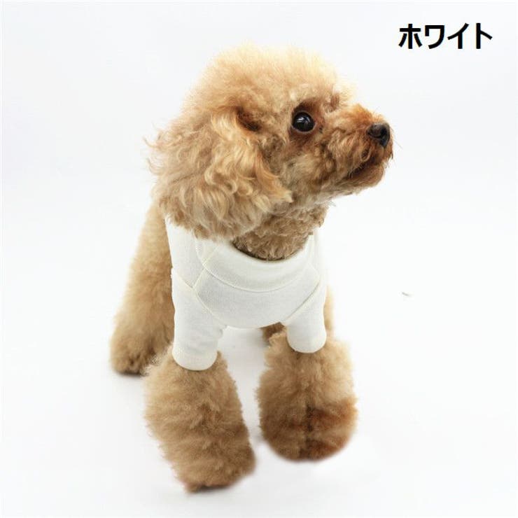 ドッグウェア ペットウェア カットソー | PlusNao | 詳細画像7 