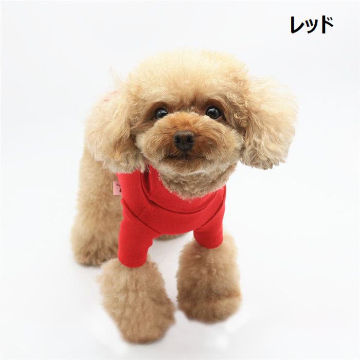 ドッグウェア ペットウェア カットソー | PlusNao | 詳細画像8 