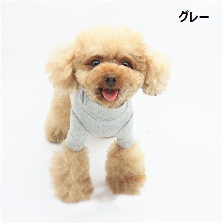 ドッグウェア ペットウェア カットソー | PlusNao | 詳細画像9 