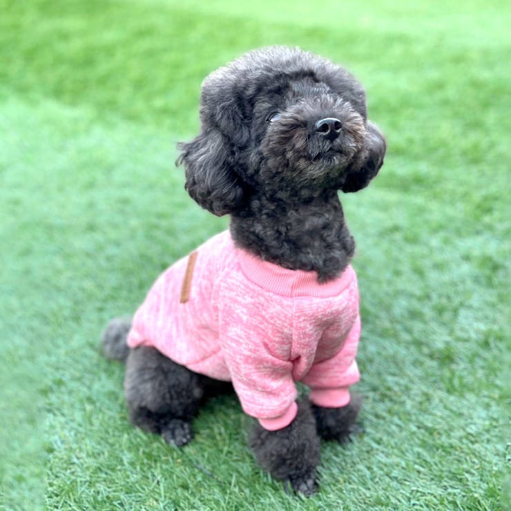 ドッグウェア トレーナー セーター | PlusNao | 詳細画像5 