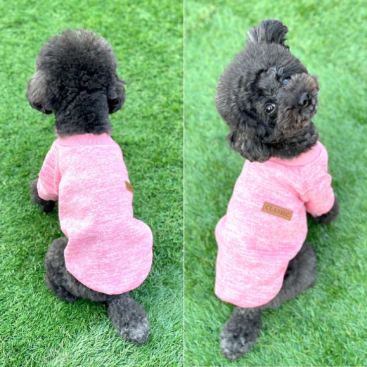 ドッグウェア トレーナー セーター | PlusNao | 詳細画像6 