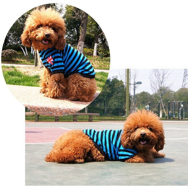 ペットウェア ドッグウェア Ｔシャツ | PlusNao | 詳細画像10 