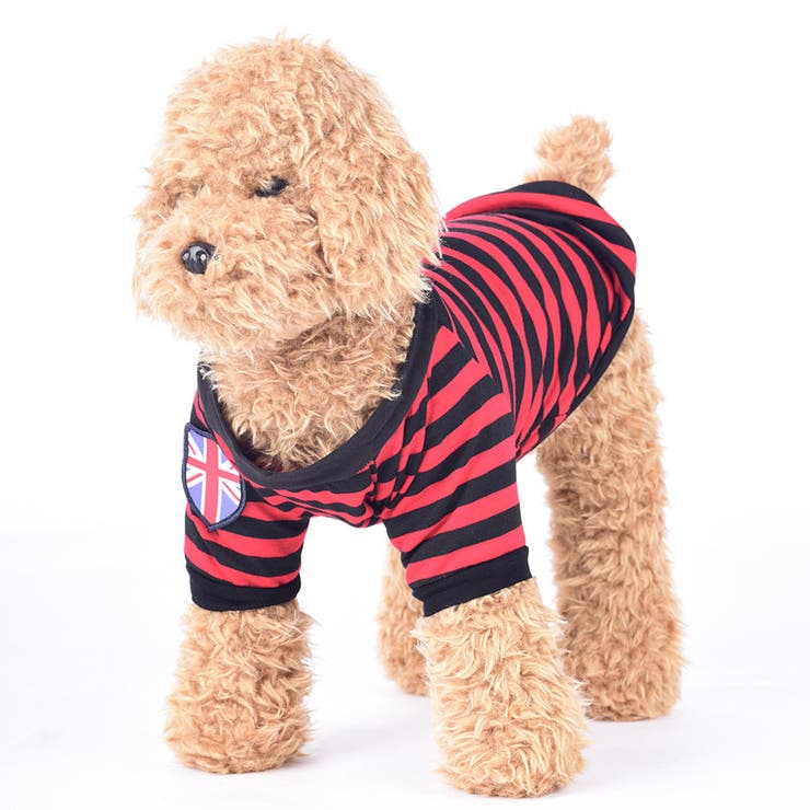 ペットウェア ドッグウェア Ｔシャツ | PlusNao | 詳細画像11 