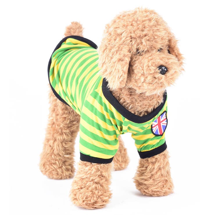 ペットウェア ドッグウェア Ｔシャツ | PlusNao | 詳細画像12 