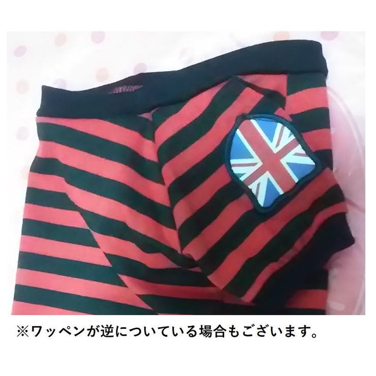 ペットウェア ドッグウェア Ｔシャツ | PlusNao | 詳細画像15 