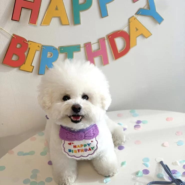 犬用バースデイスタイ帽子セット 猫用バースデイスタイ帽子セット ドッグウェア | PlusNao | 詳細画像4 