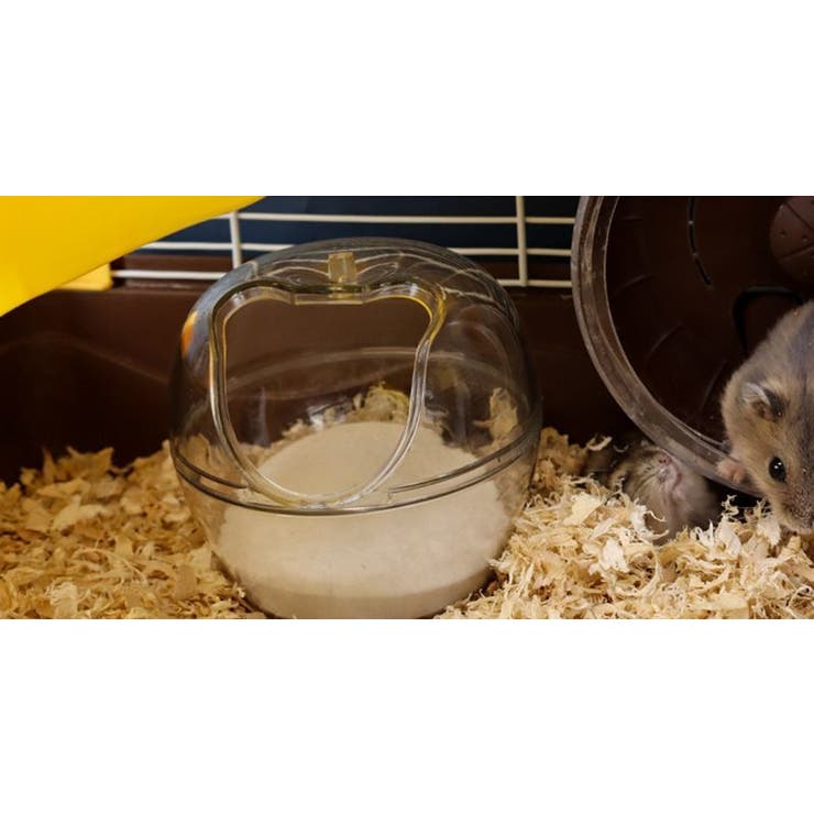 ペット用トイレ お風呂 小動物 | PlusNao | 詳細画像4 