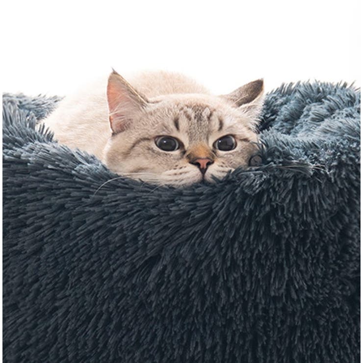 ペットベット ペットクッション ペット用 | PlusNao | 詳細画像13 