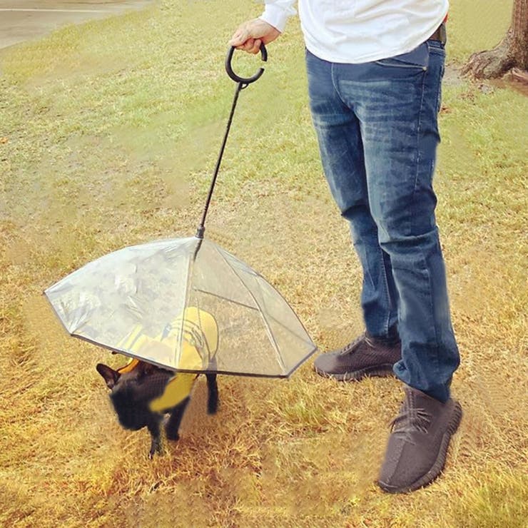 ペット用傘 透明傘 ビニール傘 | PlusNao | 詳細画像3 