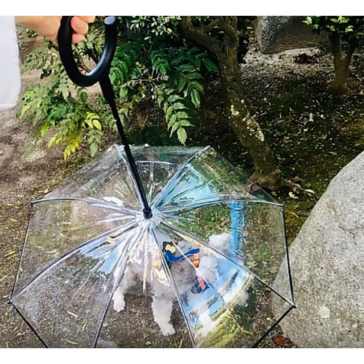 ペット用傘 透明傘 ビニール傘 | PlusNao | 詳細画像7 