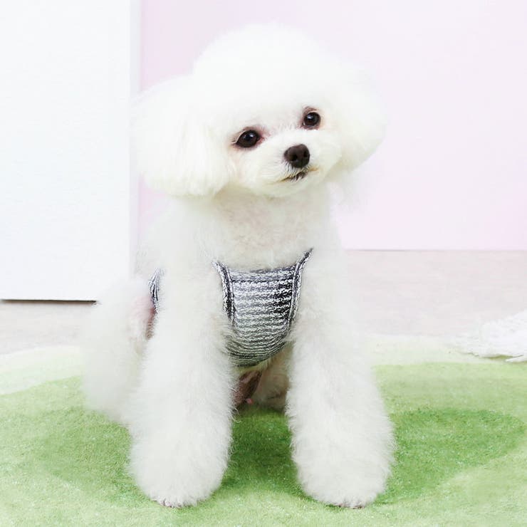 ペットウェア キャミソール 犬服 | PlusNao | 詳細画像5 