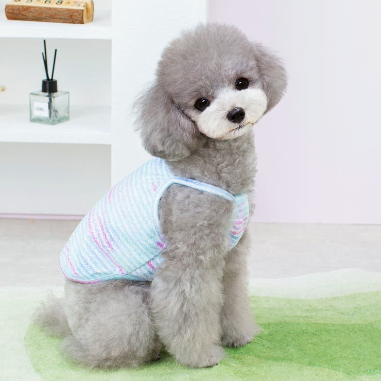 ペットウェア キャミソール 犬服 | PlusNao | 詳細画像6 