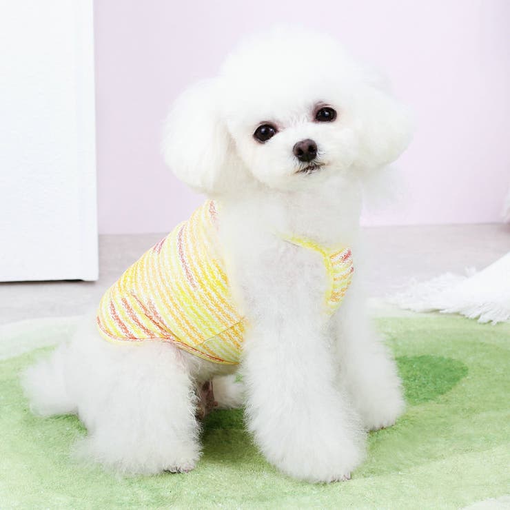 ペットウェア キャミソール 犬服 | PlusNao | 詳細画像8 