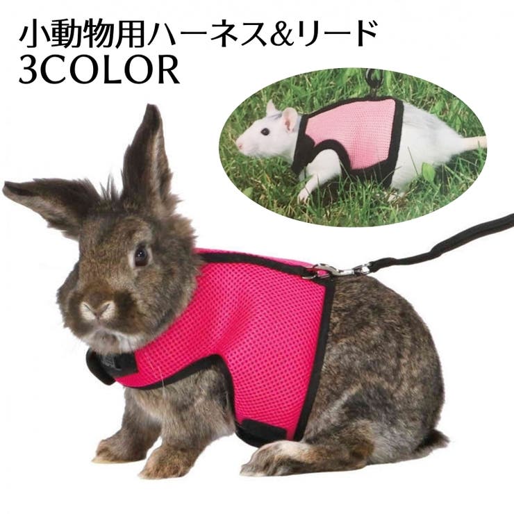 小動物用 ハーネス - 小動物用品