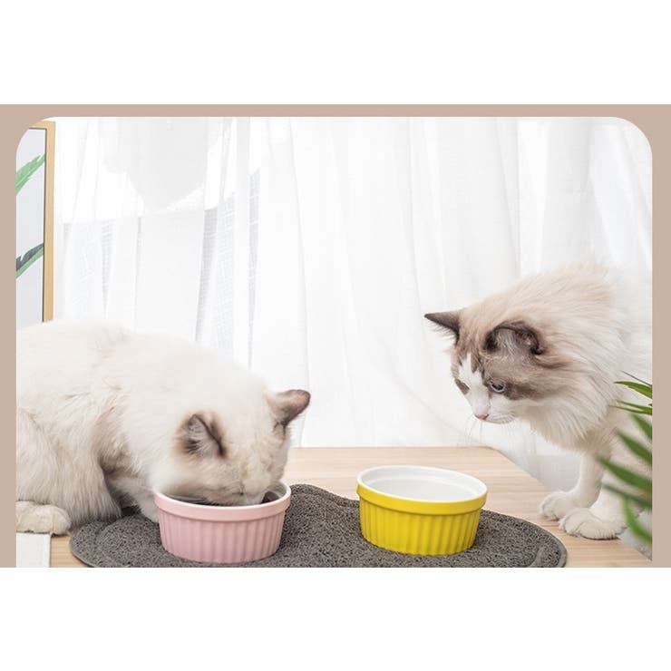 ペット用食器 単品 フードボウル | PlusNao | 詳細画像2 