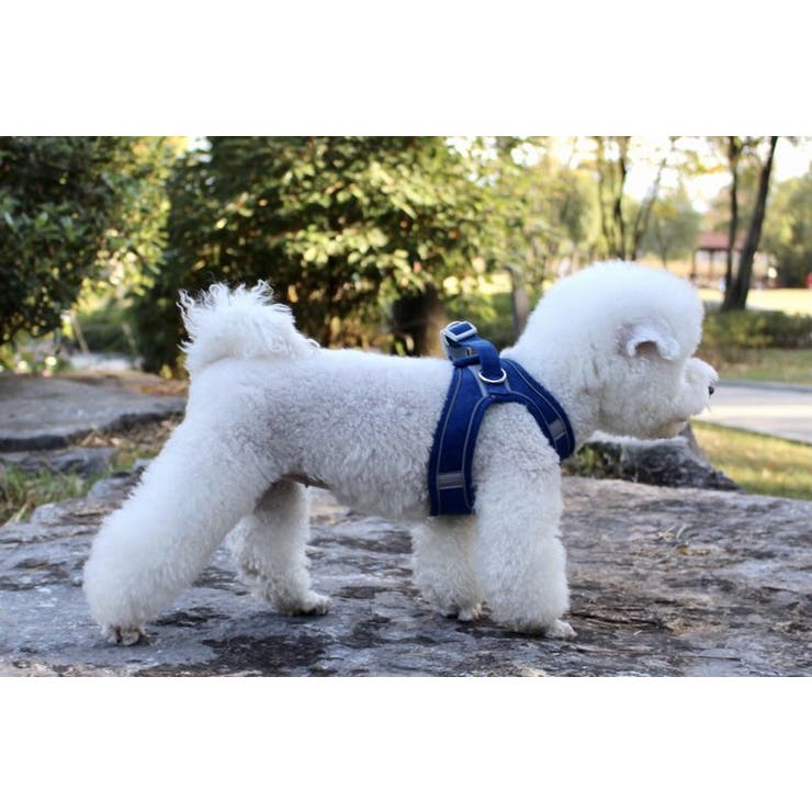 ペット用ハーネス リード 2点セット | PlusNao | 詳細画像2 