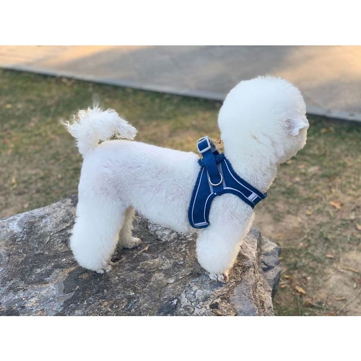 ペット用ハーネス リード 2点セット | PlusNao | 詳細画像3 