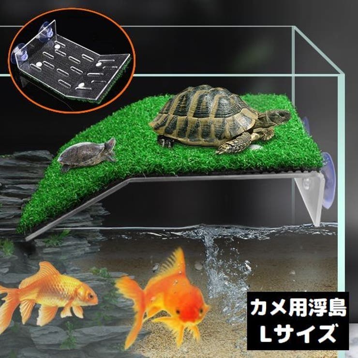 爬虫類用 両生類用 浮島 | PlusNao | 詳細画像1 