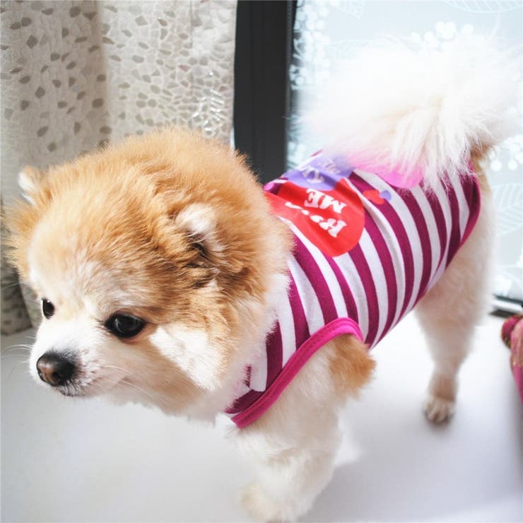 ペット用 犬用 洋服 | PlusNao | 詳細画像4 