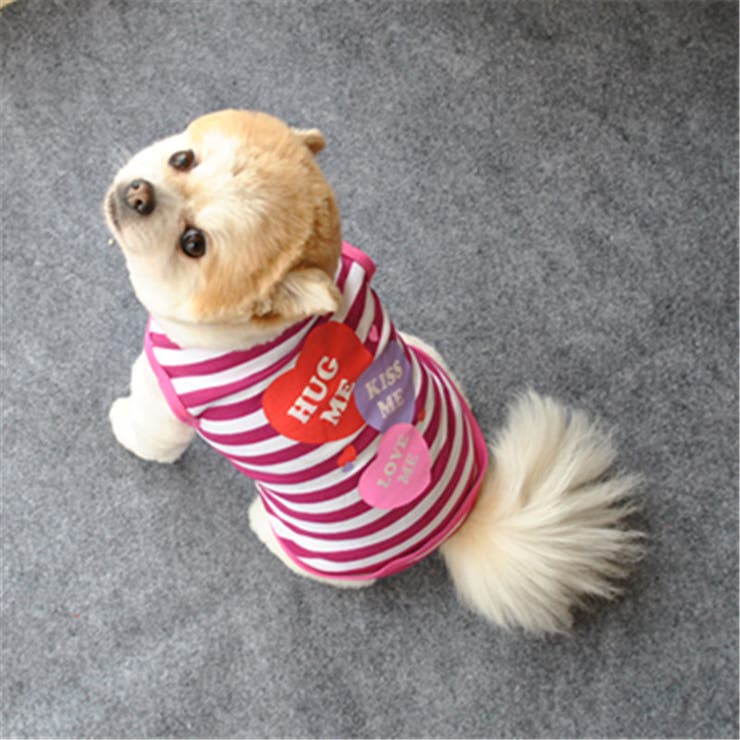 ペット用 犬用 洋服 | PlusNao | 詳細画像8 
