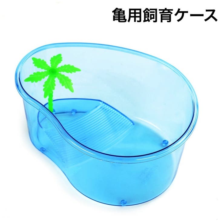 亀用飼育ケース 水槽 カメ[品番：FQ000187080]｜PlusNao