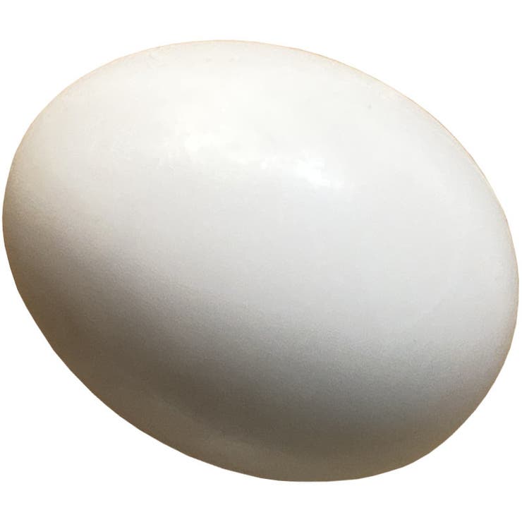 偽卵 擬卵 4個セット | PlusNao | 詳細画像3 