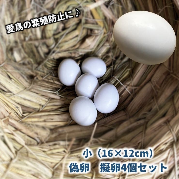 偽卵 擬卵 4個セット | PlusNao | 詳細画像1 