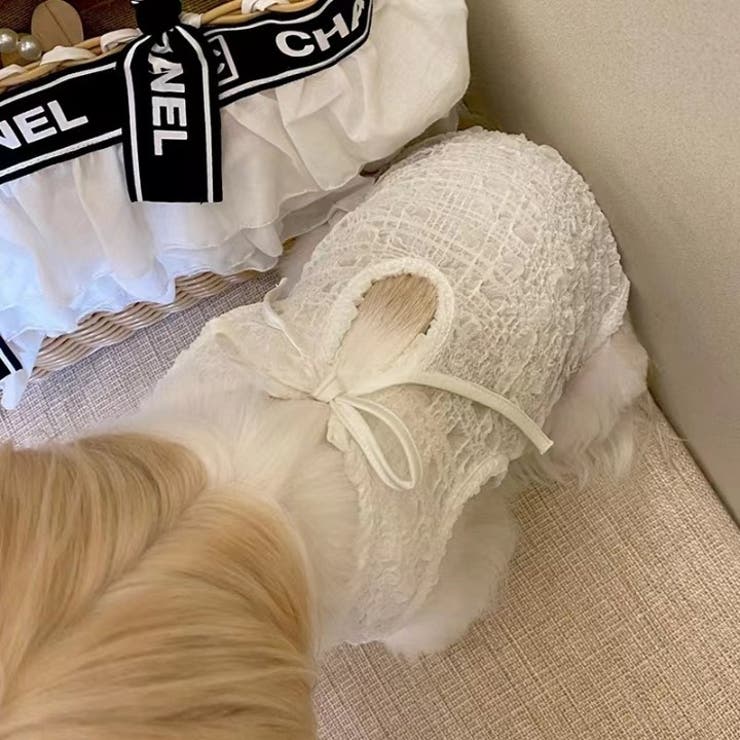 ペットウェア ドッグウェア キャットウェア | PlusNao | 詳細画像3