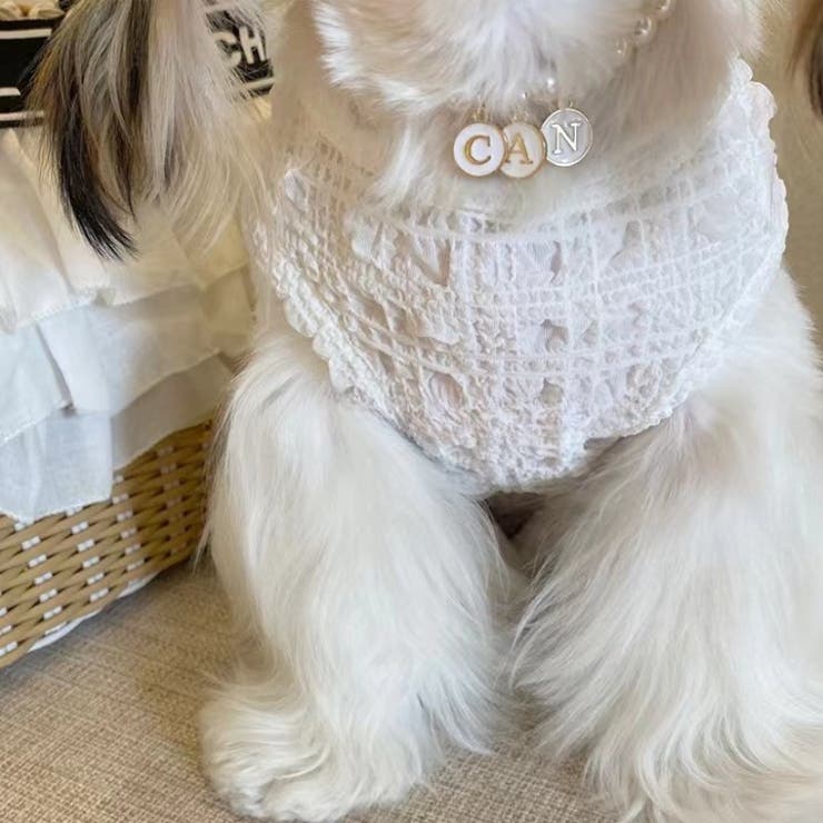 ペットウェア ドッグウェア キャットウェア | PlusNao | 詳細画像4