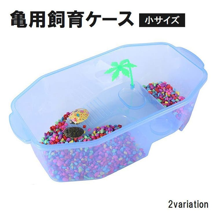 亀用飼育ケース 小サイズ ペット用品[品番：FQ000182849