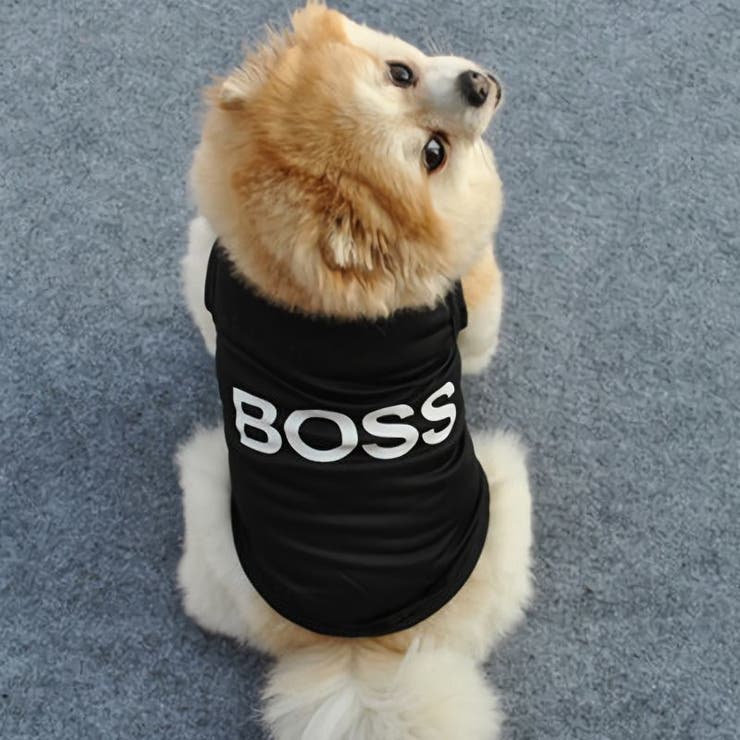 BOSS - ドッグ セーター コットンブレンド - ブラック