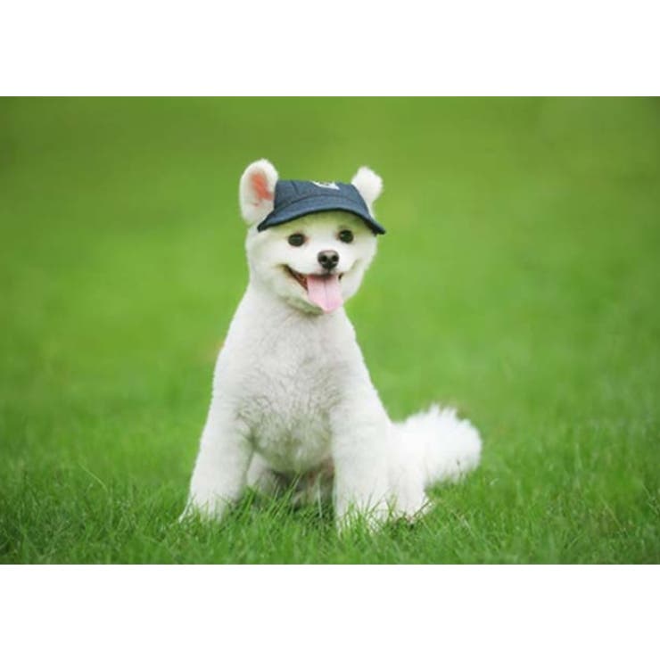 犬用帽子 キャップ サンバイザー | PlusNao | 詳細画像2 