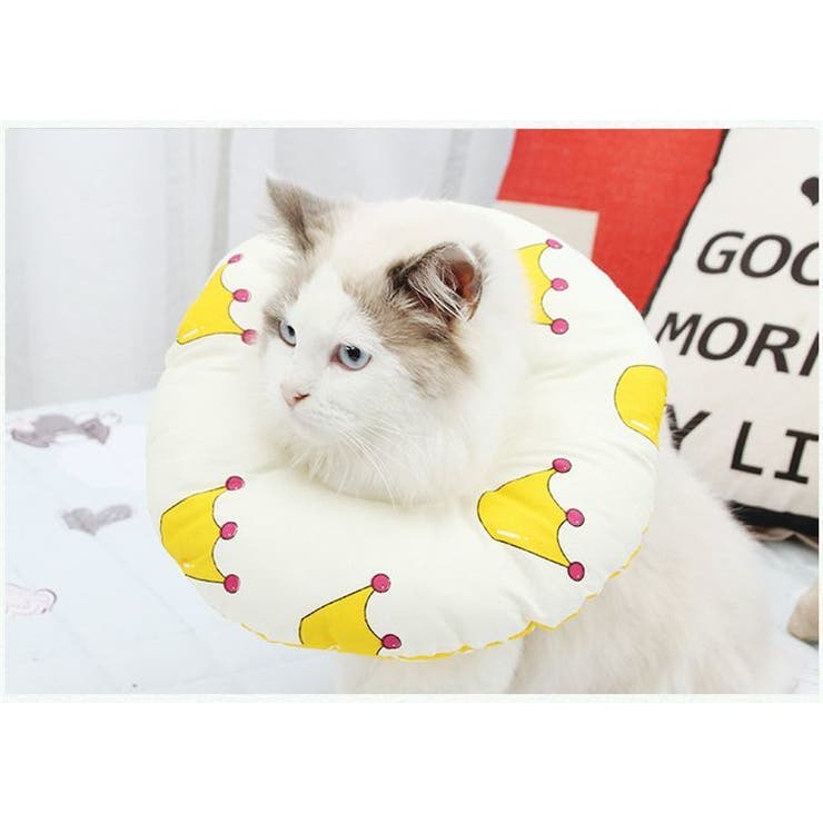 エリザベスカラー 猫用 犬 用 品番 Fq Plusnao プラスナオ のレディースファッション通販 Shoplist ショップリスト