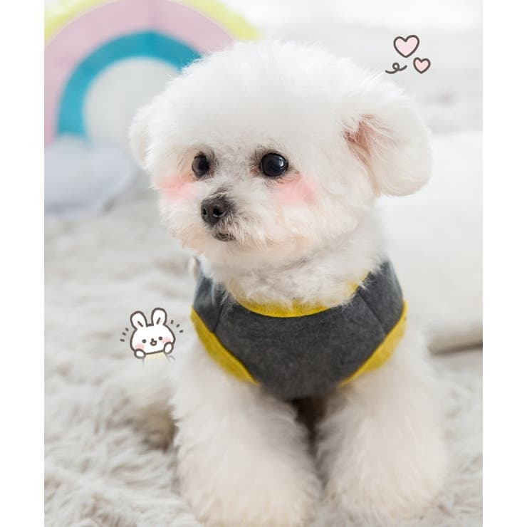 ドッグウェア ペットウエア ベスト | PlusNao | 詳細画像8 