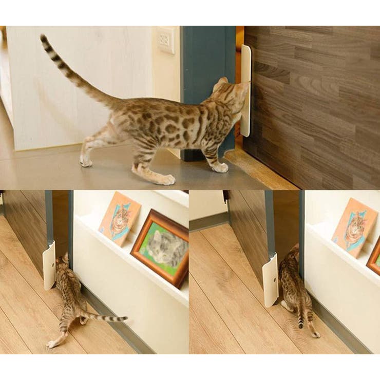 ペットドア ペット用品 犬用 | PlusNao | 詳細画像2 