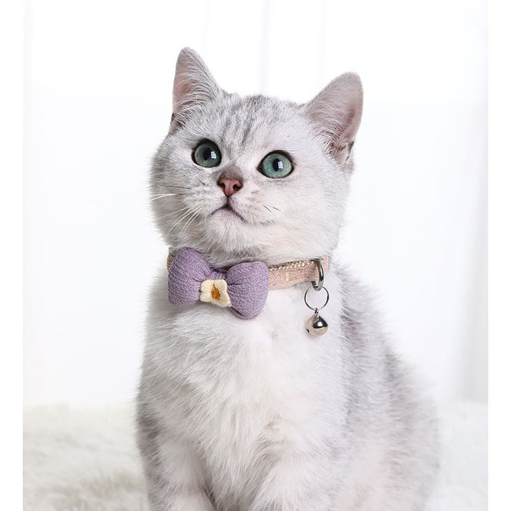 首輪 カラー 猫 | PlusNao | 詳細画像2 