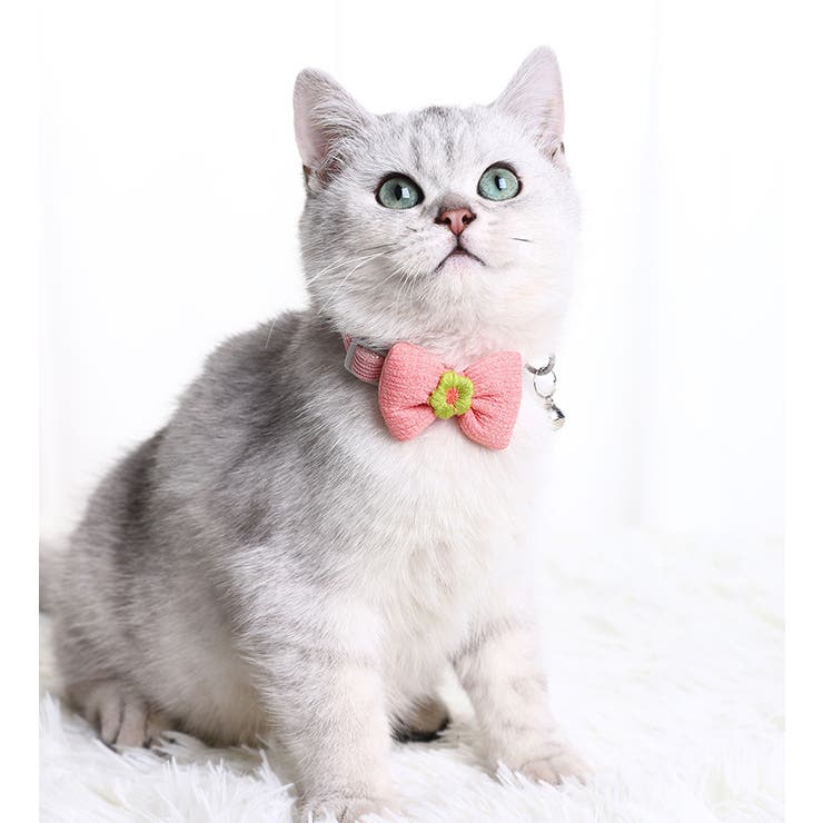 首輪 カラー 猫 | PlusNao | 詳細画像3 