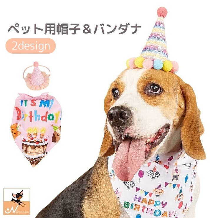 ペット用帽子 ペット用スカーフ 2点セット | PlusNao | 詳細画像1 